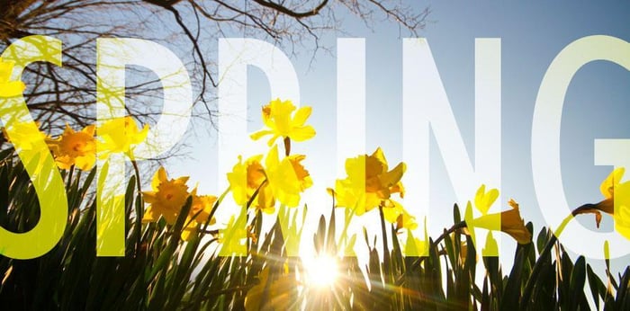 Photo Credit: Matt Champlin