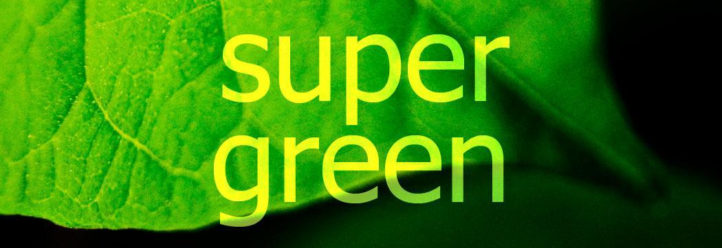 Image credit Sean McGrath.