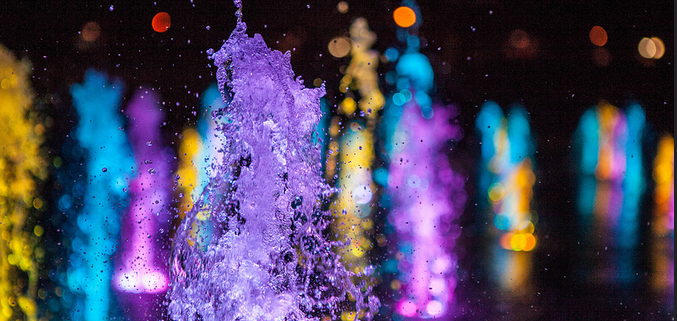 Image Credit: Terry Robinson