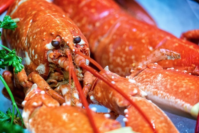 Image Credit: Garry Knight